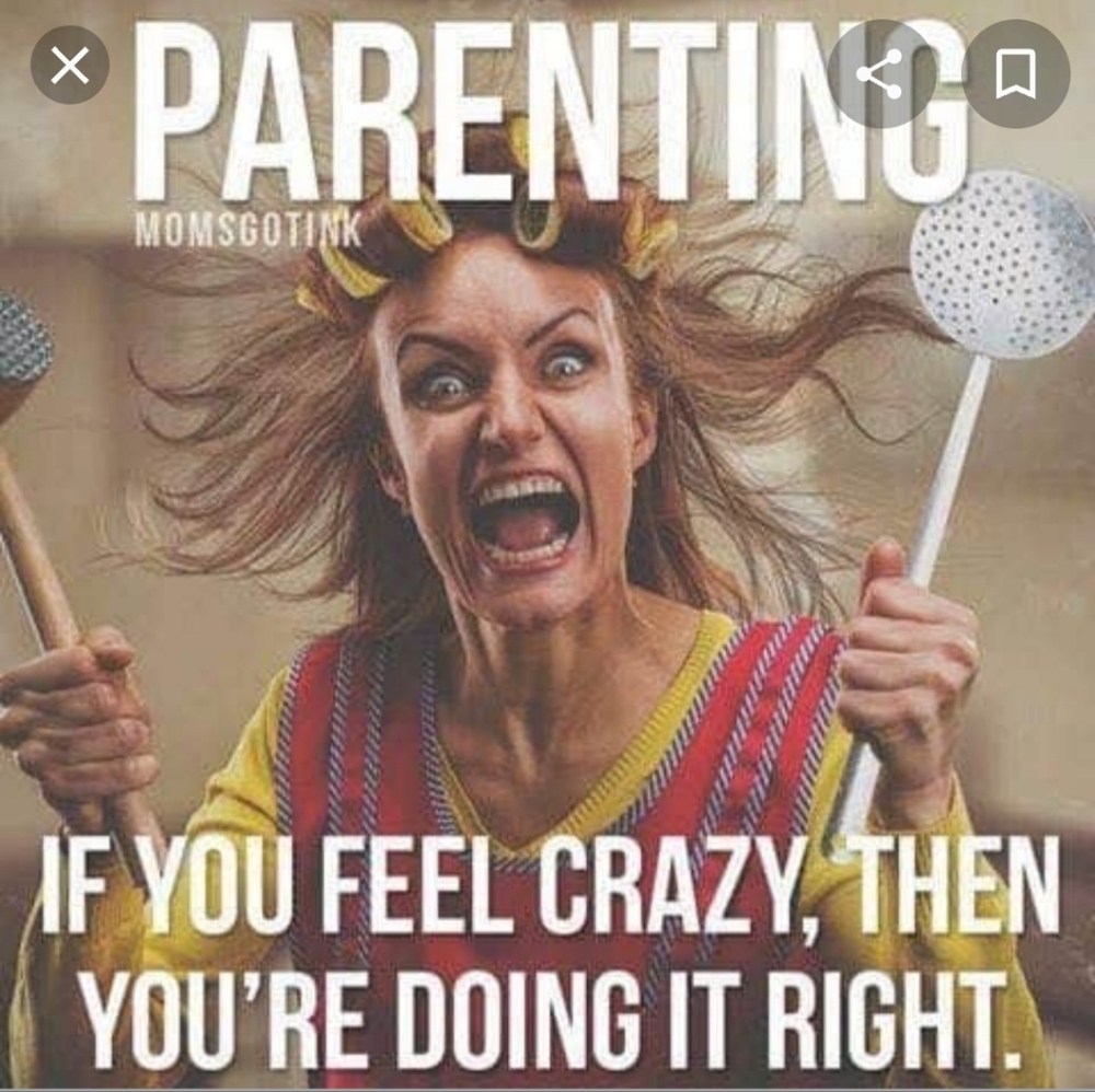 Follow Party!! Funny Memes to brighten your day! Like, Follow, Share!! - Picture 4 of 11